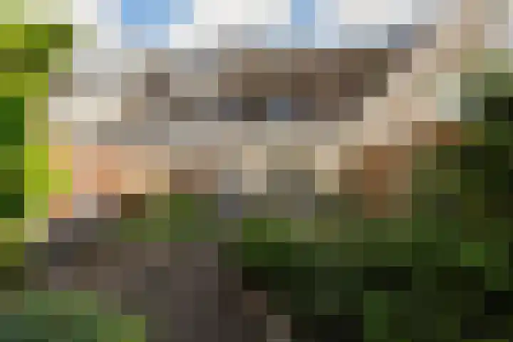 Hoge Witsiestraat 81 Tilburg thumbnail 35
