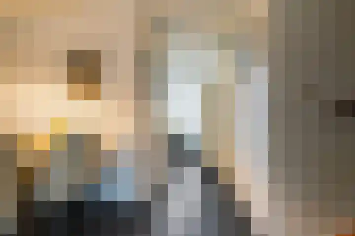 Hoge Witsiestraat 81 Tilburg thumbnail 9