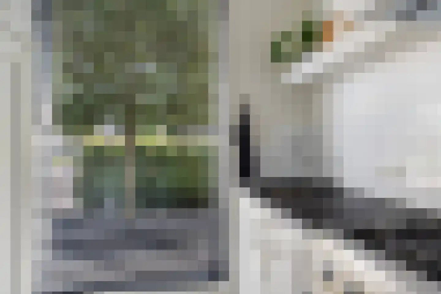 Hoge Witteveld 24 Didam thumbnail 13
