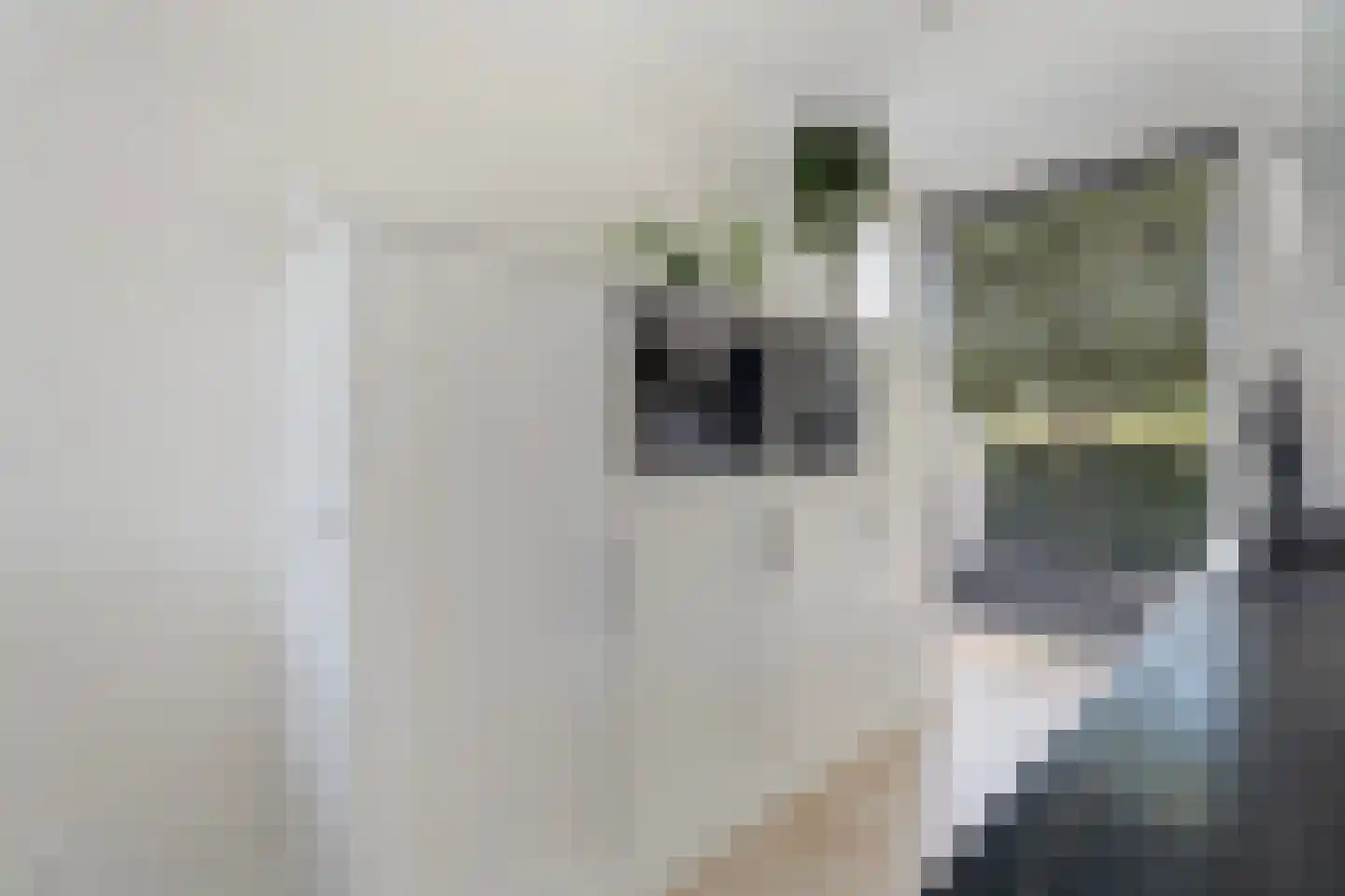 Hoge Witteveld 24 Didam thumbnail 14