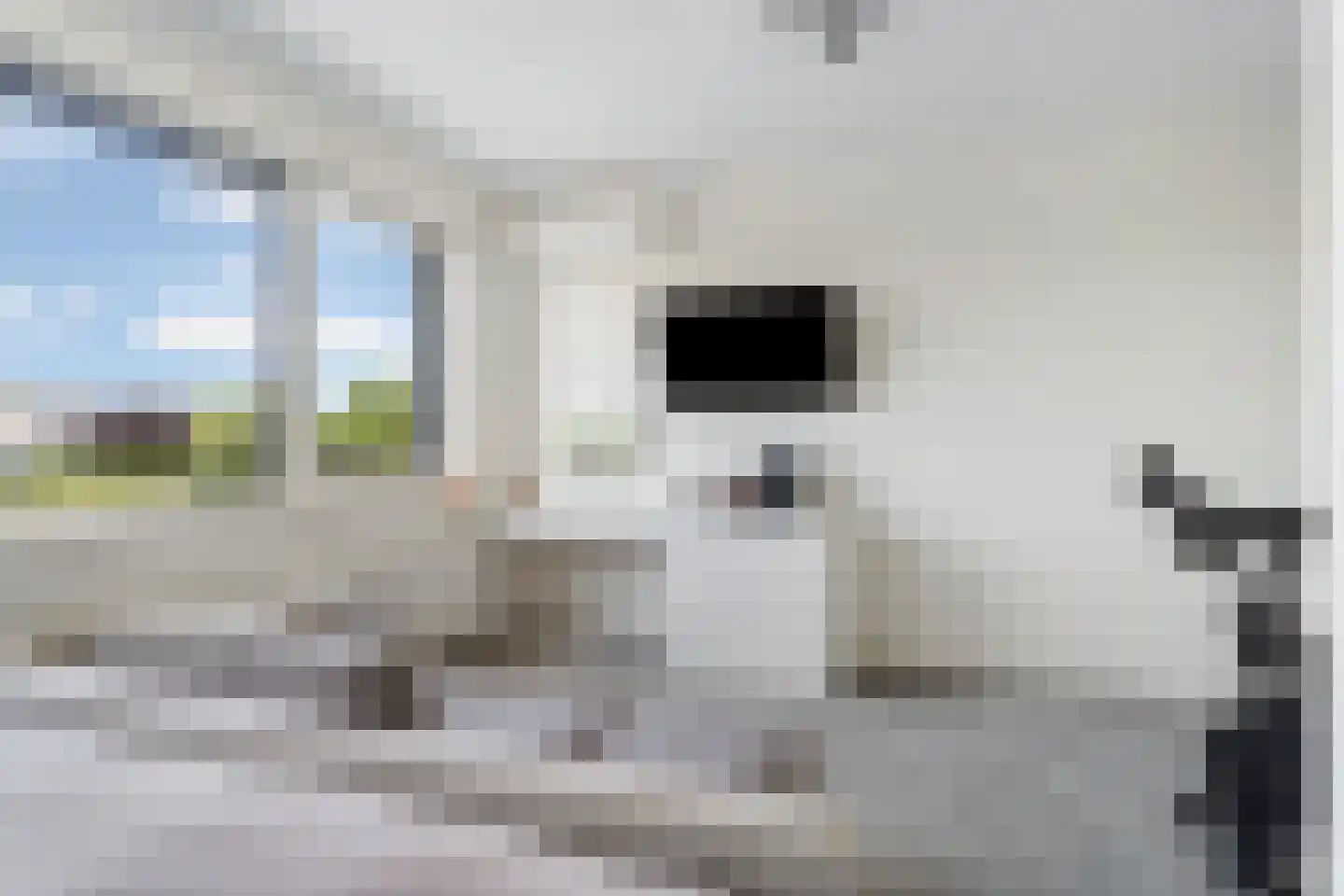 Hoge Witteveld 24 Didam thumbnail 20