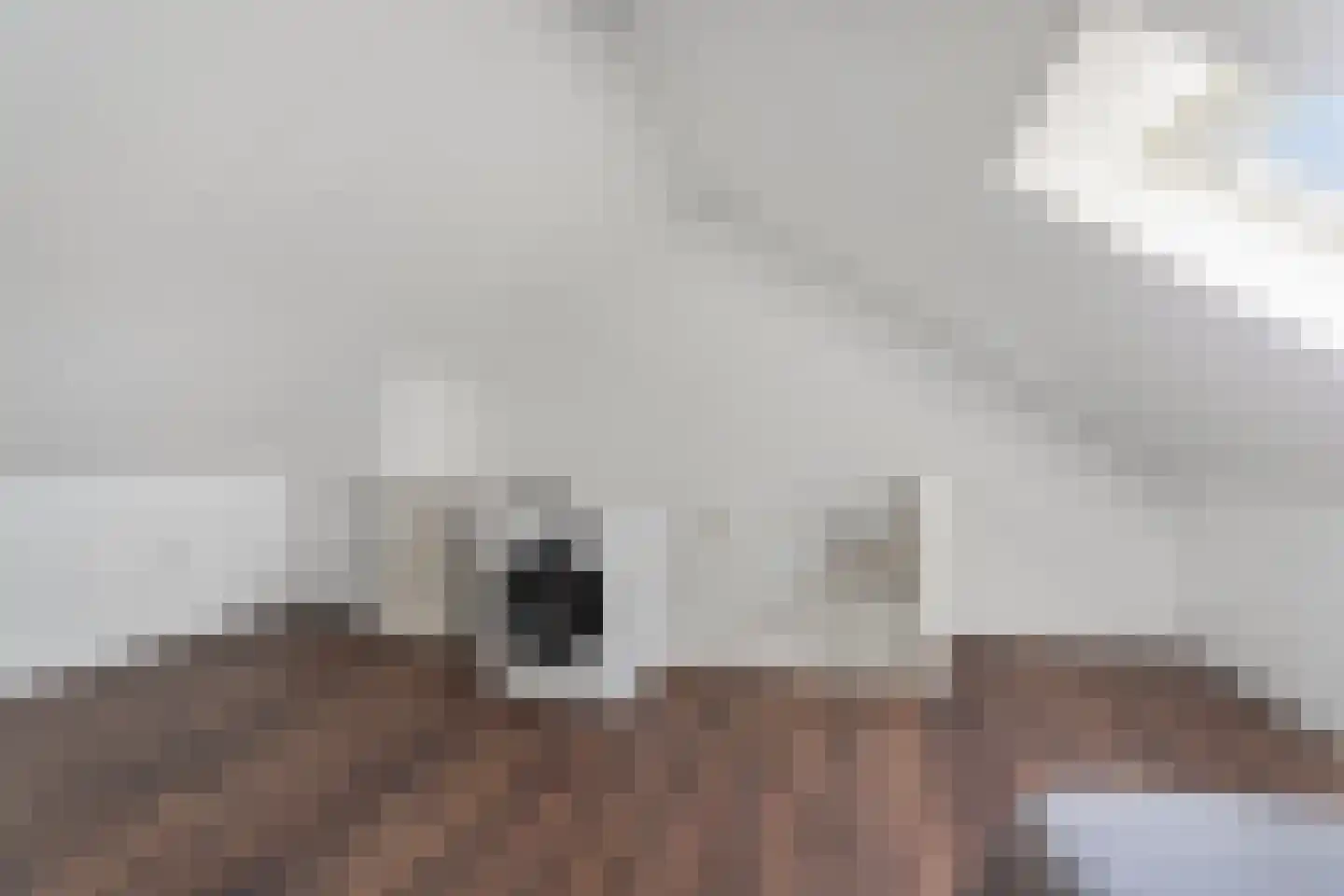 Hoge Witteveld 24 Didam thumbnail 29