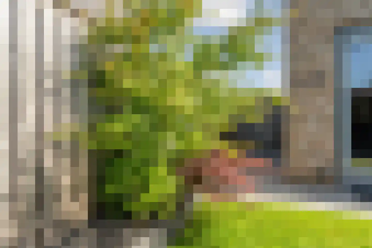 Hoge Witteveld 24 Didam thumbnail 35