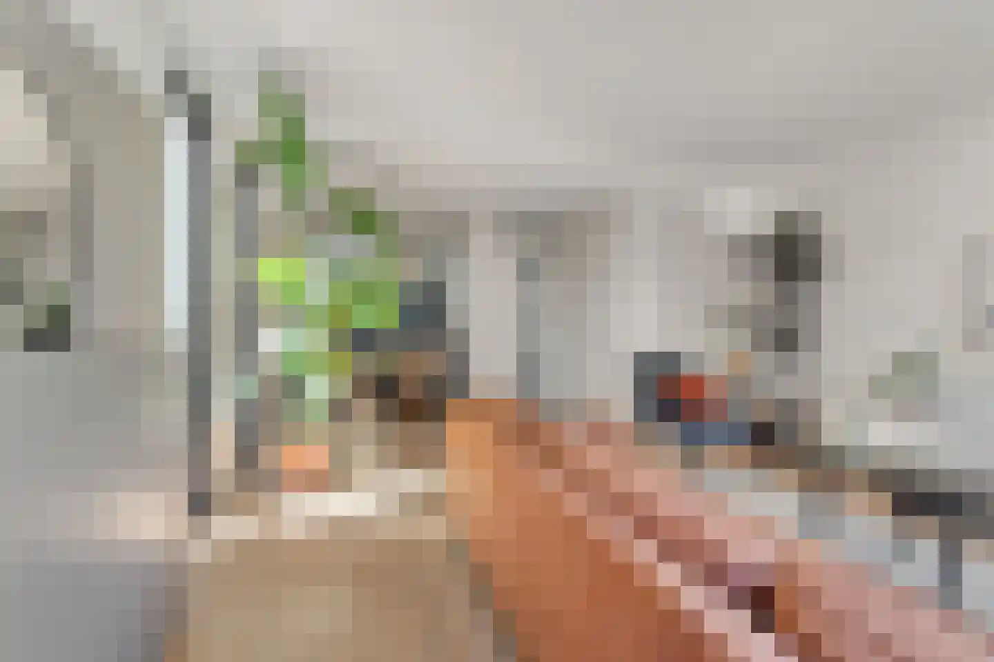 Hoge Witteveld 25 Didam thumbnail 12