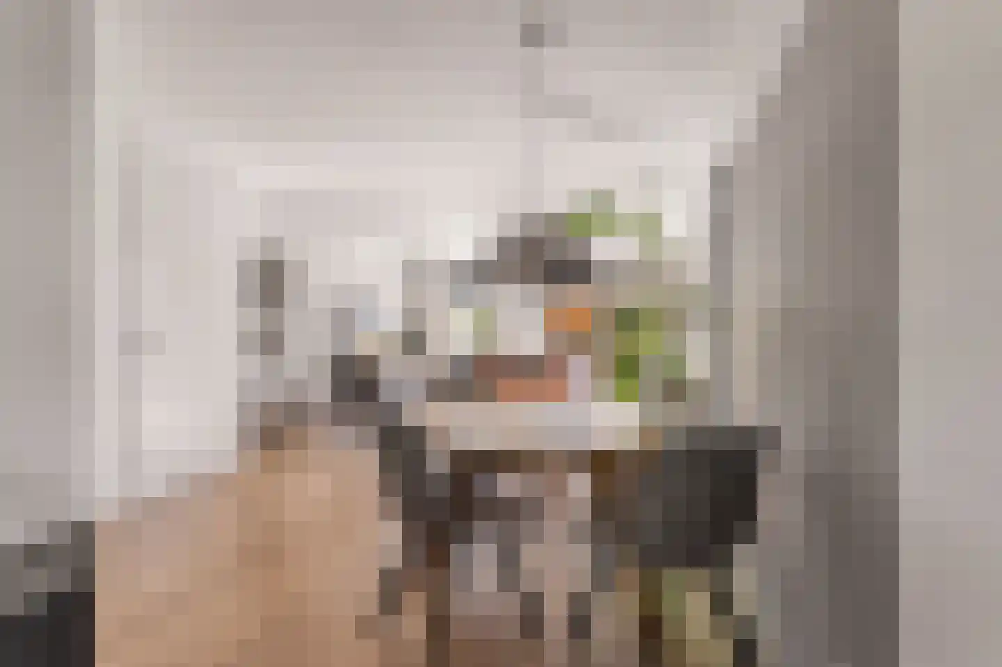 Hoge Witteveld 25 Didam thumbnail 18
