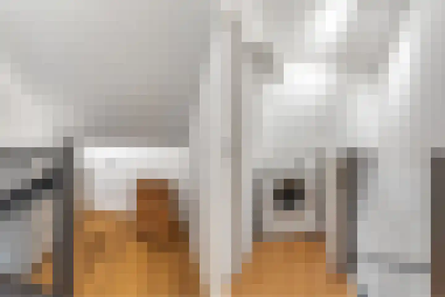 Hoge Witteveld 25 Didam thumbnail 29