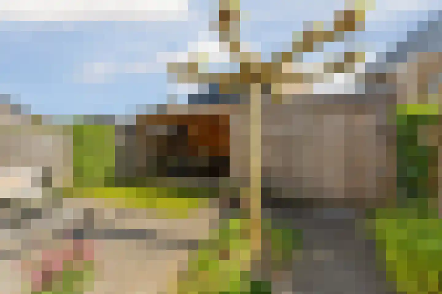 Hoge Witteveld 25 Didam foto 3