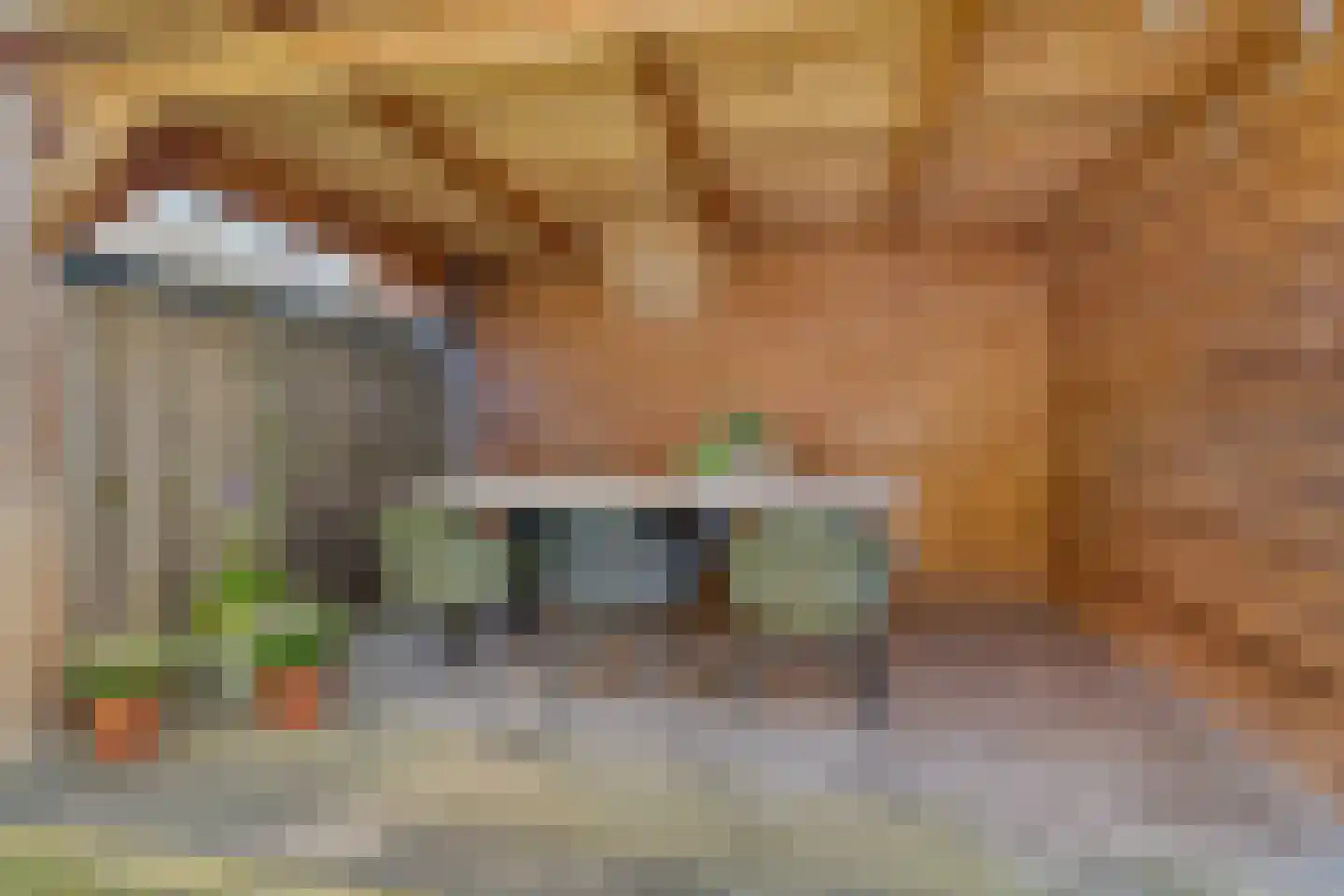 Hoge Witteveld 25 Didam thumbnail 40