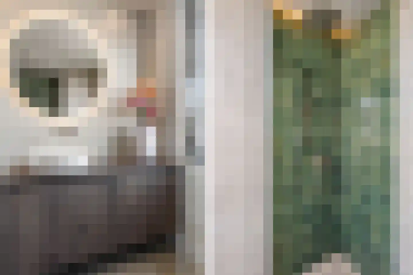 Hoge Witteveld 25 Didam thumbnail 5