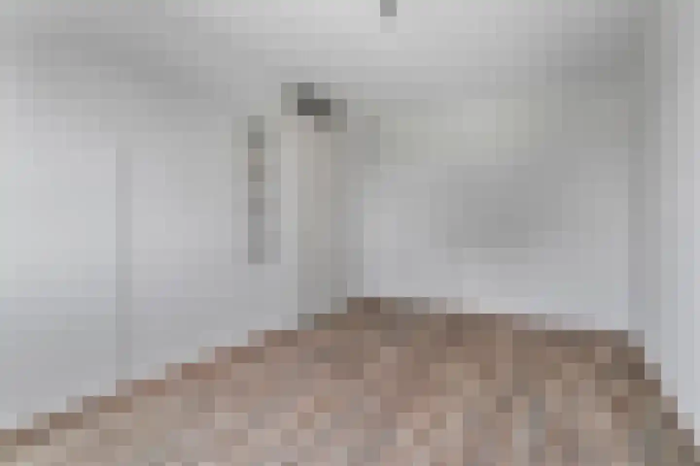 Hoge Witteveld 58 Didam thumbnail 17