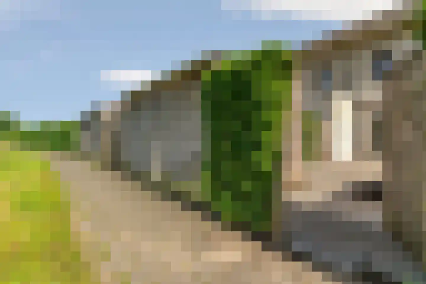 Hoge Witteveld 58 Didam thumbnail 33