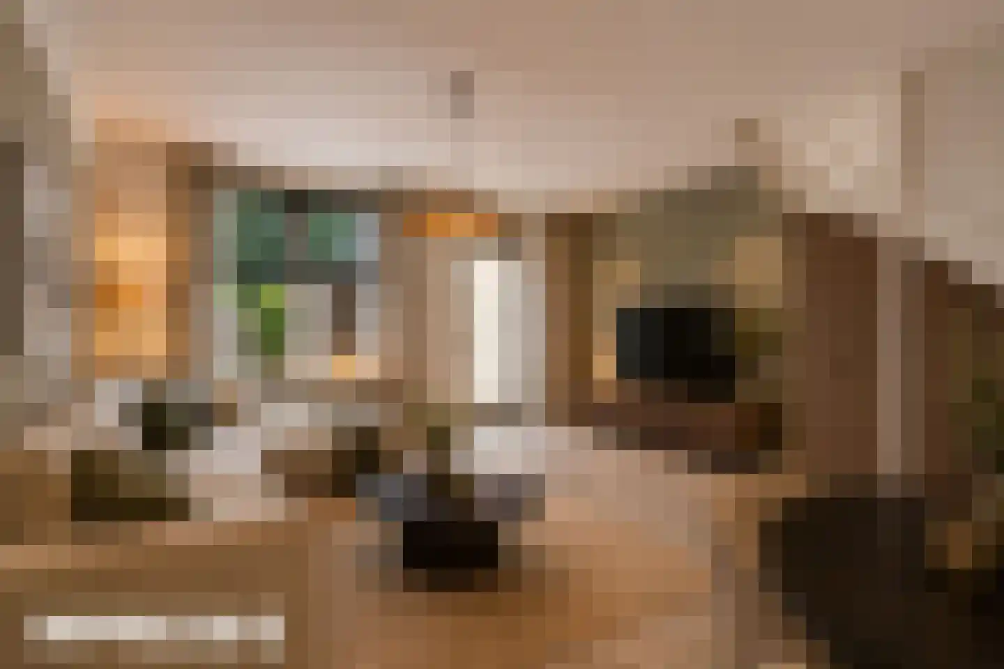 Hoge Witteveld 58 Didam thumbnail 5
