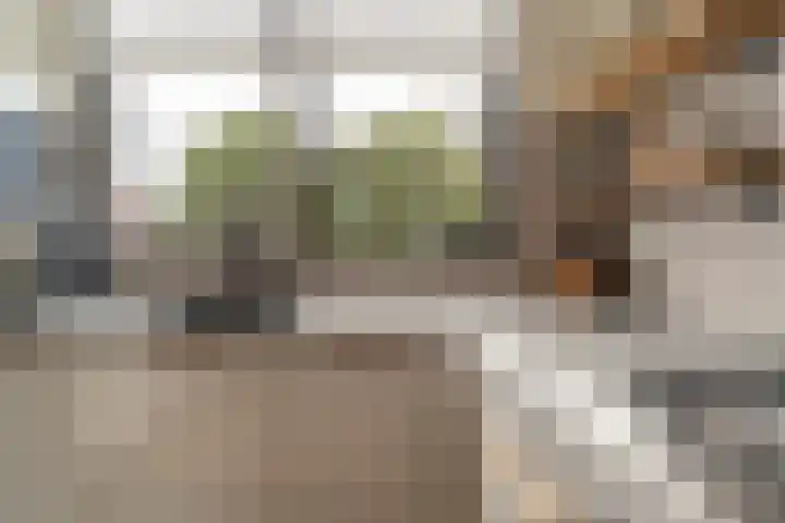 Hoge Witteveld 84 Didam thumbnail 10