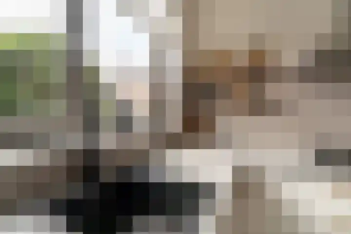 Hoge Witteveld 84 Didam thumbnail 11