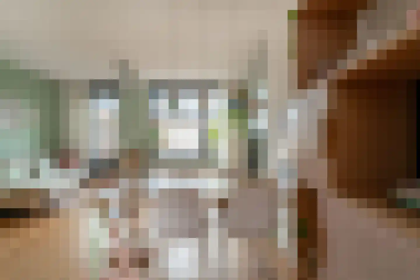 Hoge Witteveld 84 Didam thumbnail 13