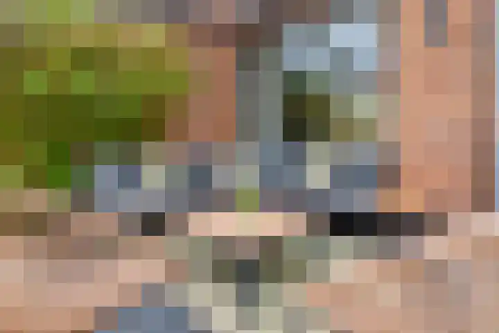 Hoge Witteveld 84 Didam thumbnail 18