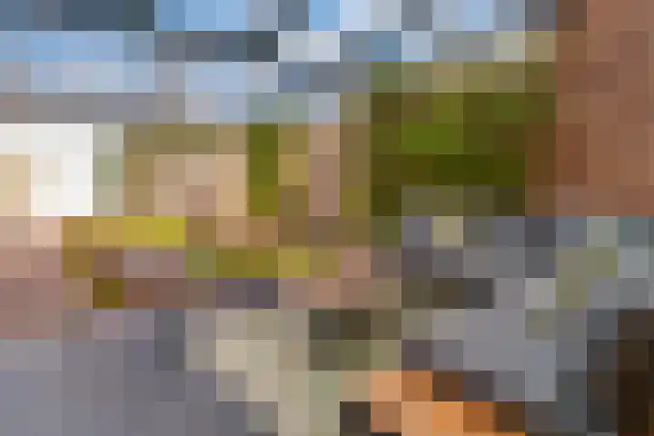 Hoge Witteveld 84 Didam thumbnail 20