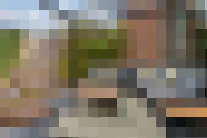 Hoge Witteveld 84 Didam thumbnail 21
