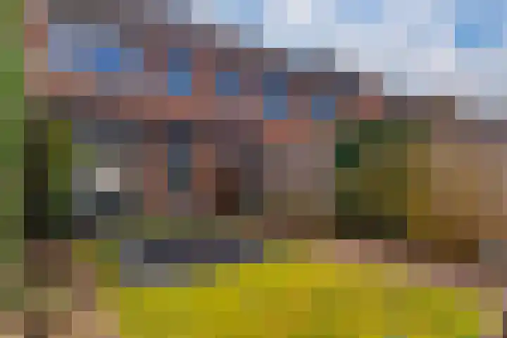 Hoge Witteveld 84 Didam thumbnail 22