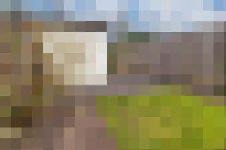 Hoge Witteveld 84 Didam thumbnail 23