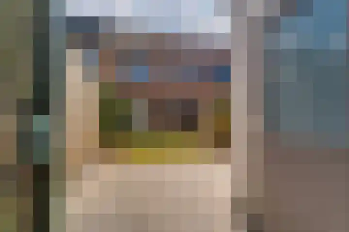 Hoge Witteveld 84 Didam thumbnail 25