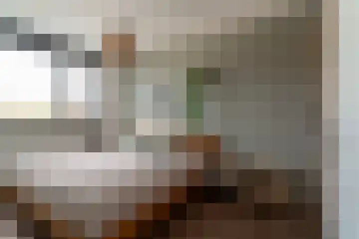 Hoge Witteveld 84 Didam thumbnail 29