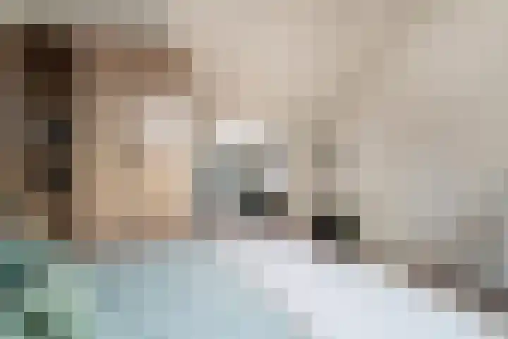 Hoge Witteveld 84 Didam thumbnail 40