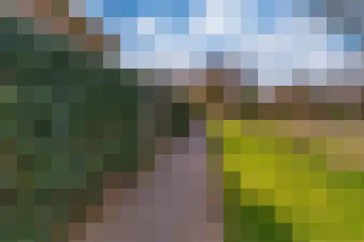 Hoge Witteveld 84 Didam thumbnail 42