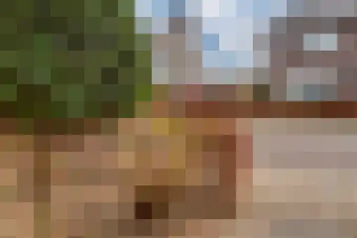 Hoge Witteveld 84 Didam thumbnail 44