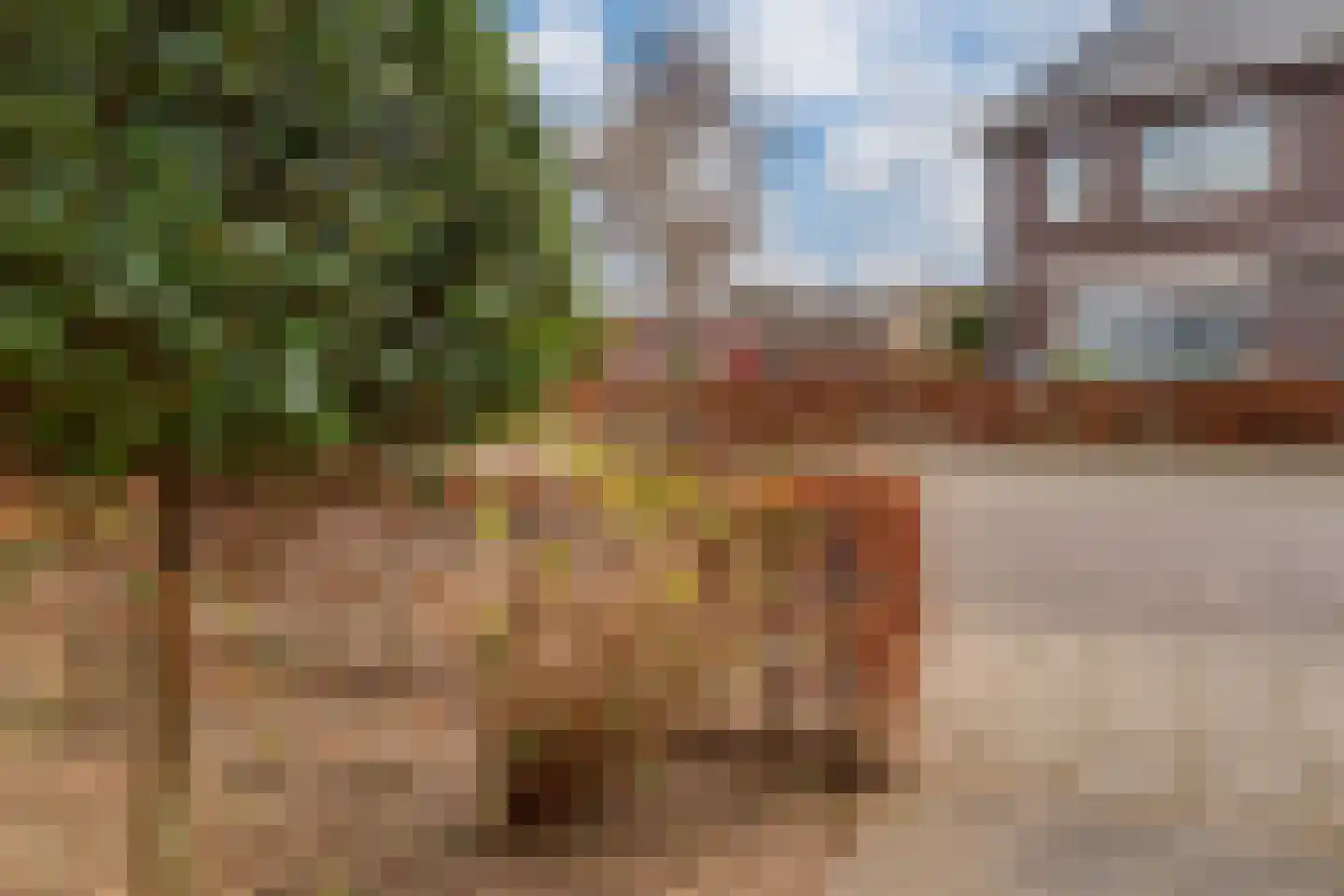Hoge Witteveld 84 Didam thumbnail 44