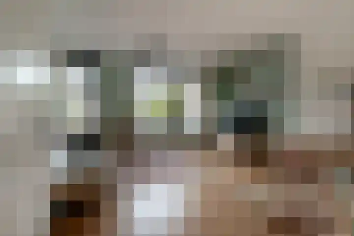 Hoge Witteveld 84 Didam thumbnail 7