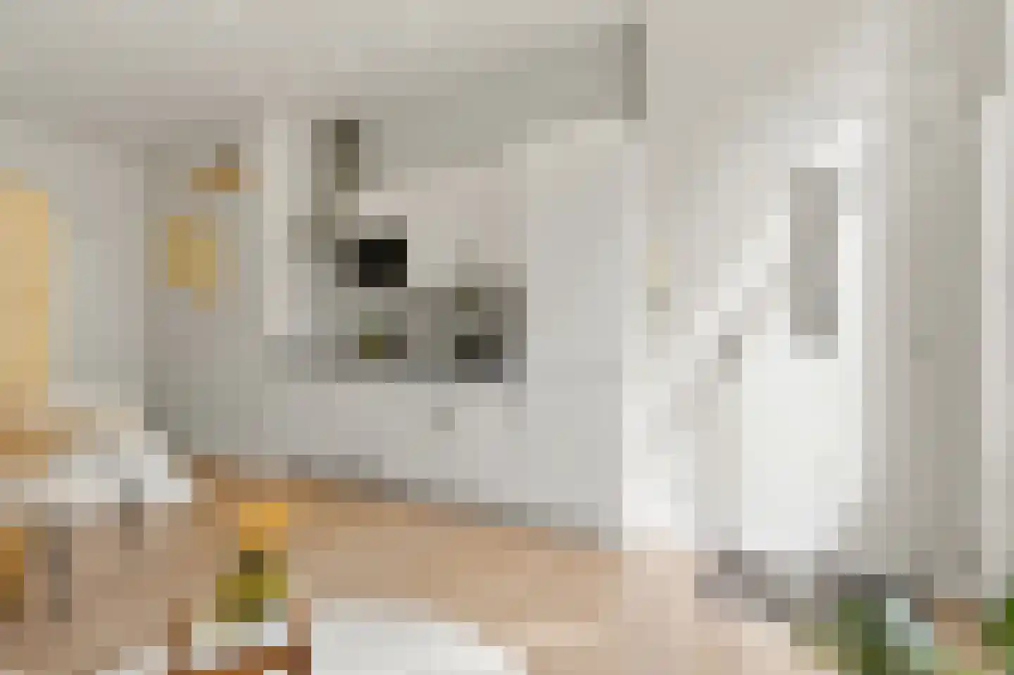 Hoge Zand 1 C Den Haag thumbnail 10