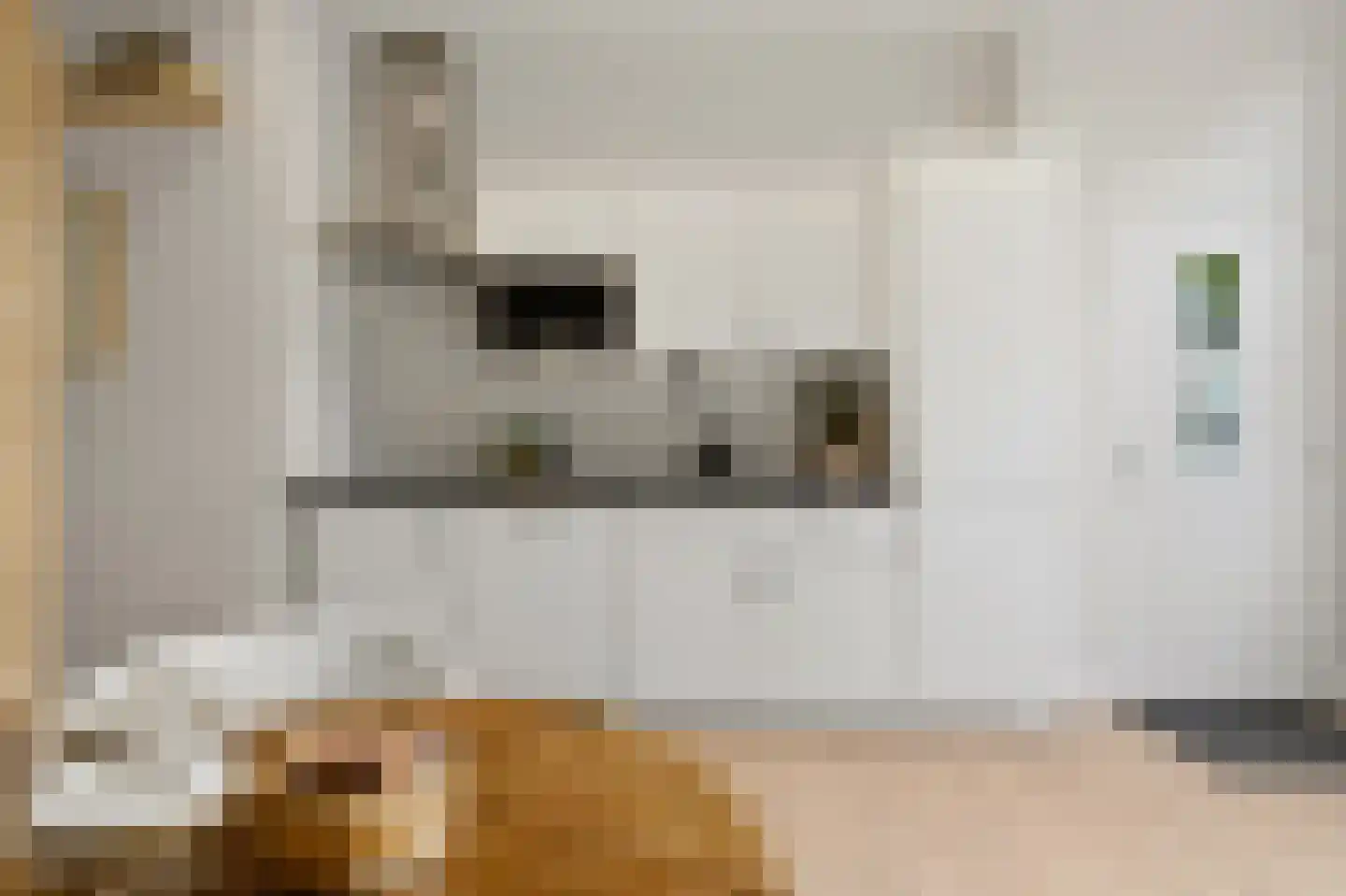 Hoge Zand 1 C Den Haag thumbnail 12