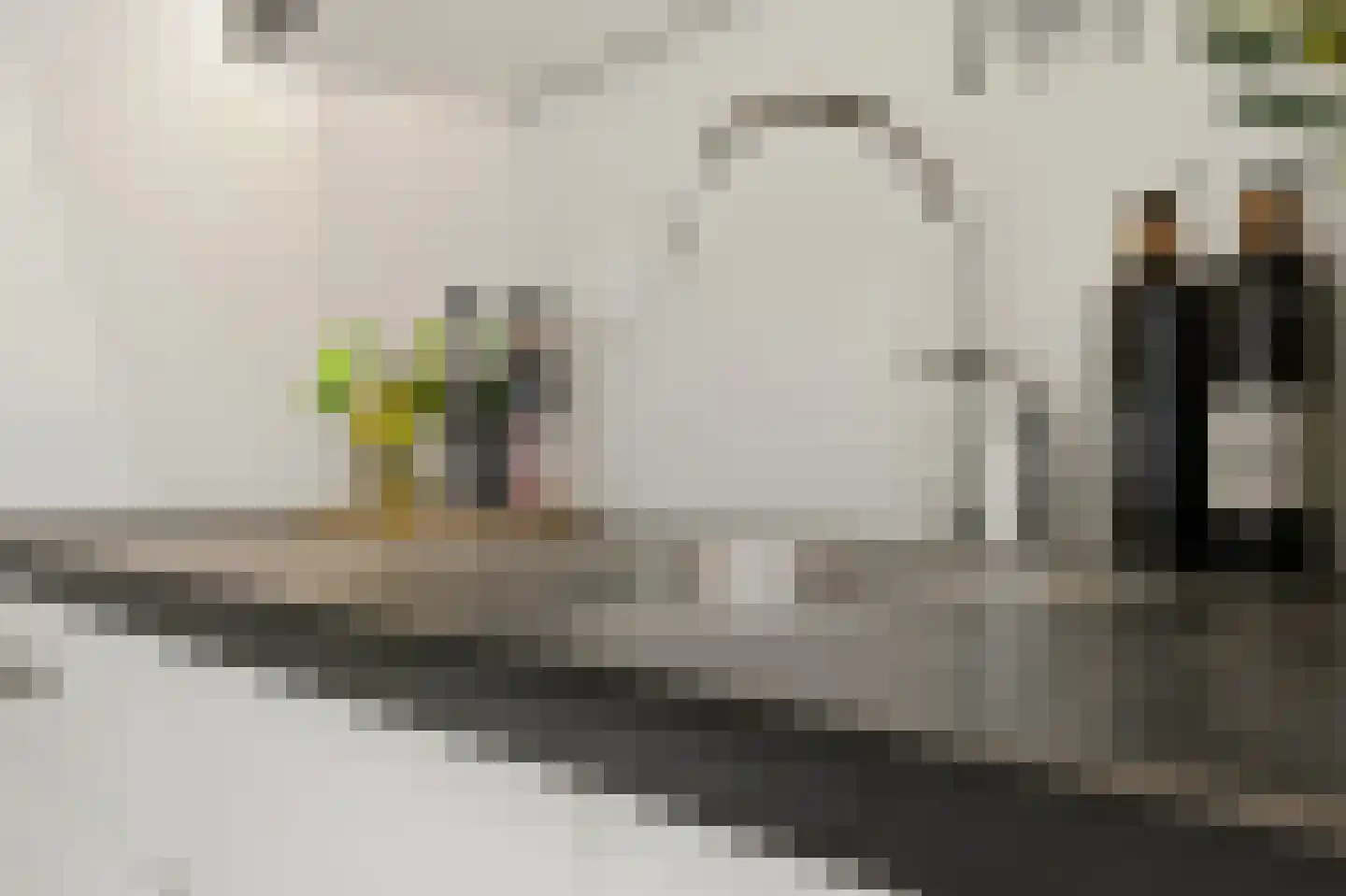 Hoge Zand 1 C Den Haag thumbnail 13