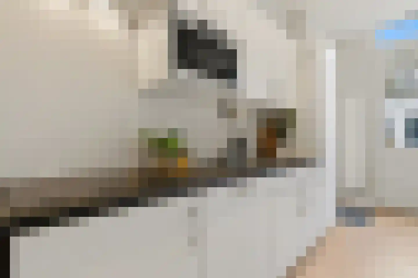 Hoge Zand 1 C Den Haag thumbnail 15