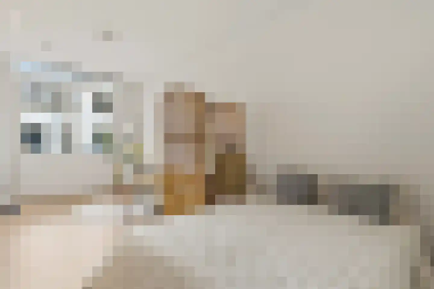 Hoge Zand 1 C Den Haag thumbnail 7