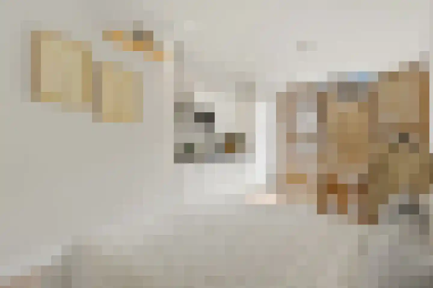 Hoge Zand 1 C Den Haag thumbnail 8