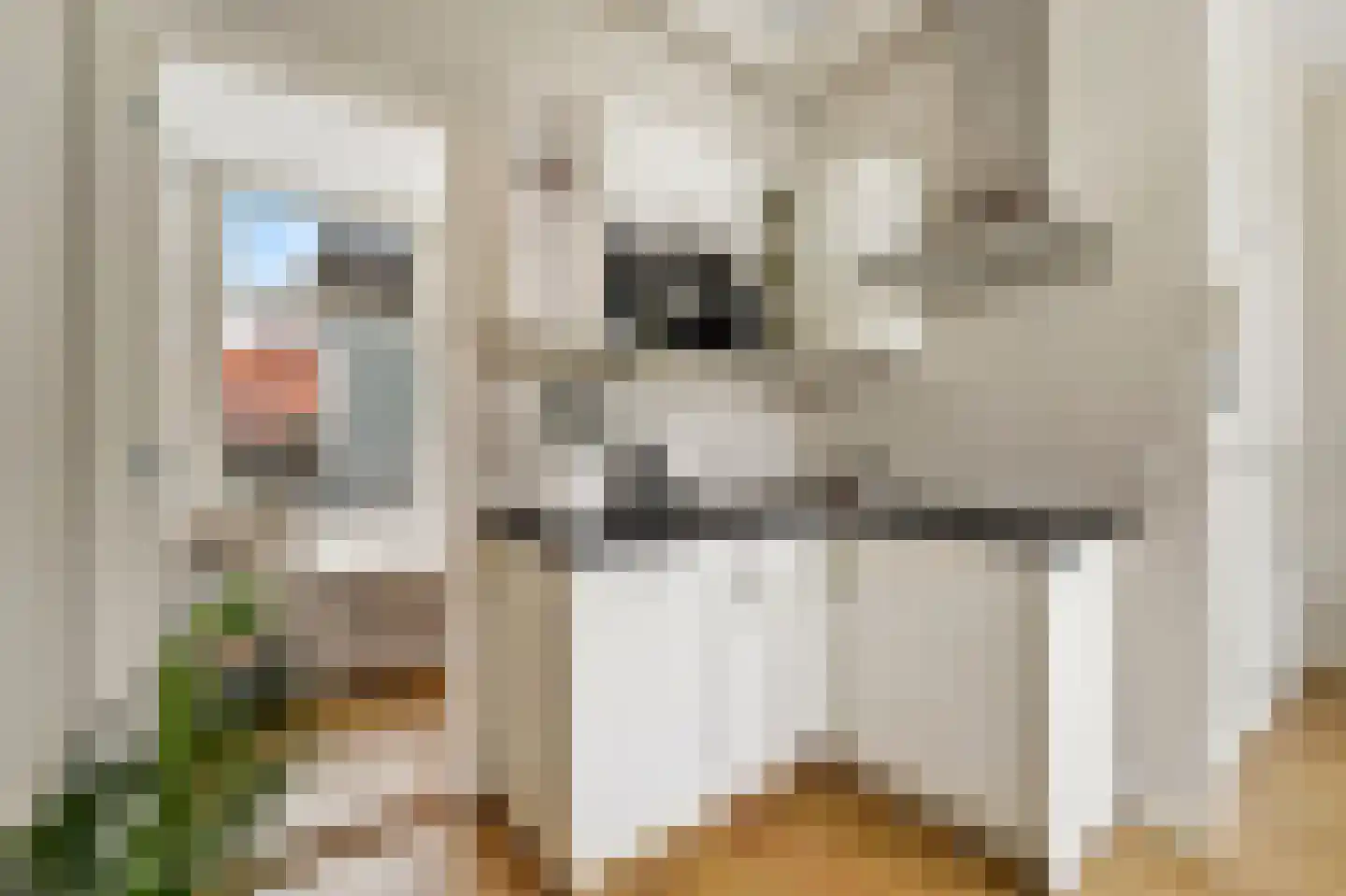 Hoge Zand 1 Den Haag thumbnail 13