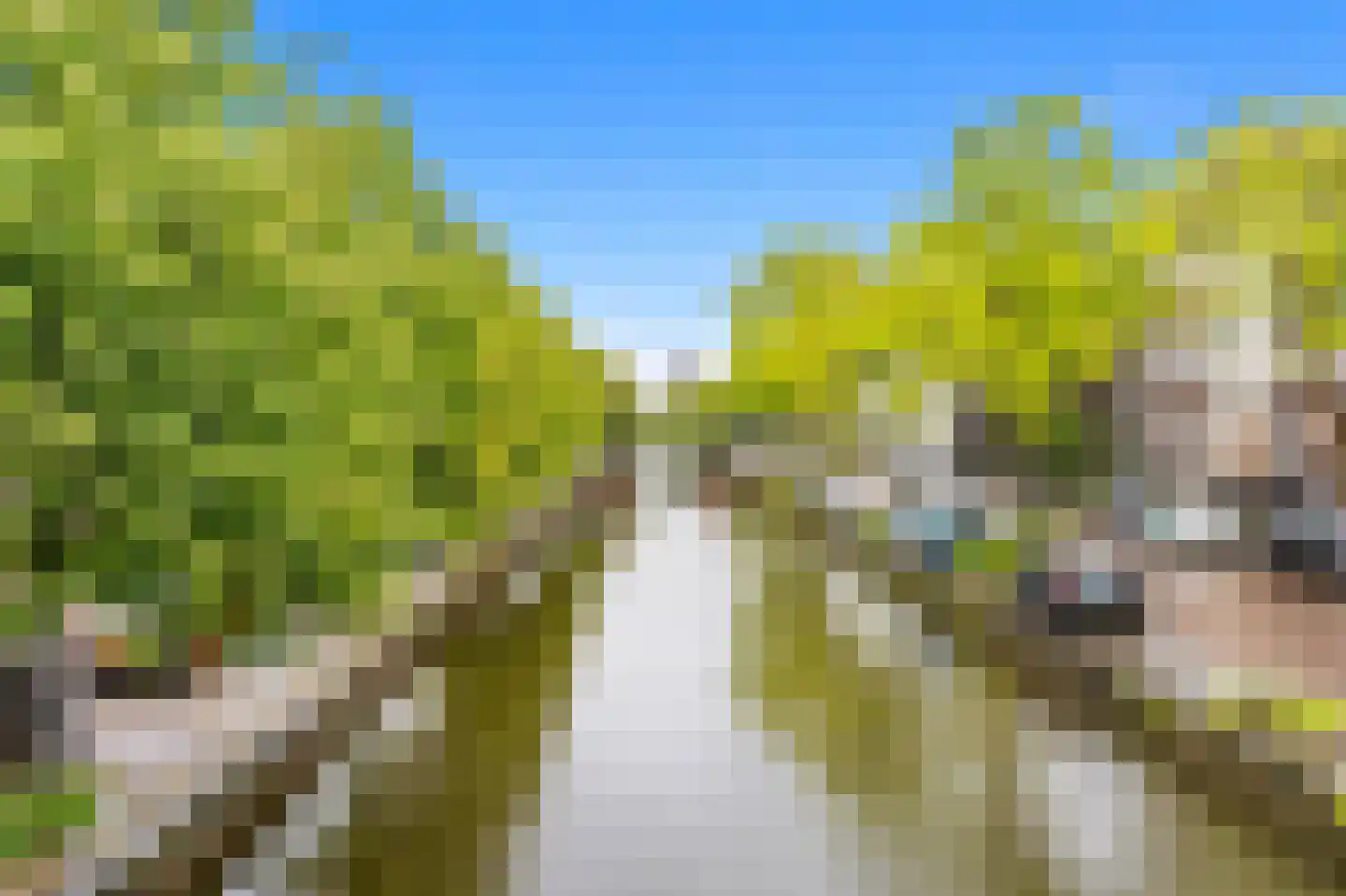Hoge Zand 1 Den Haag thumbnail 26