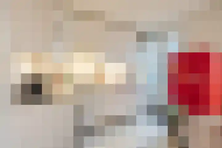 Hoge Zand 102 Den Haag thumbnail 16