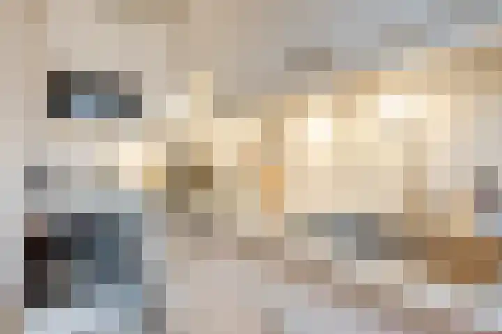 Hoge Zand 102 Den Haag thumbnail 17