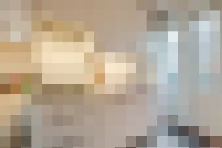 Hoge Zand 102 Den Haag thumbnail 18