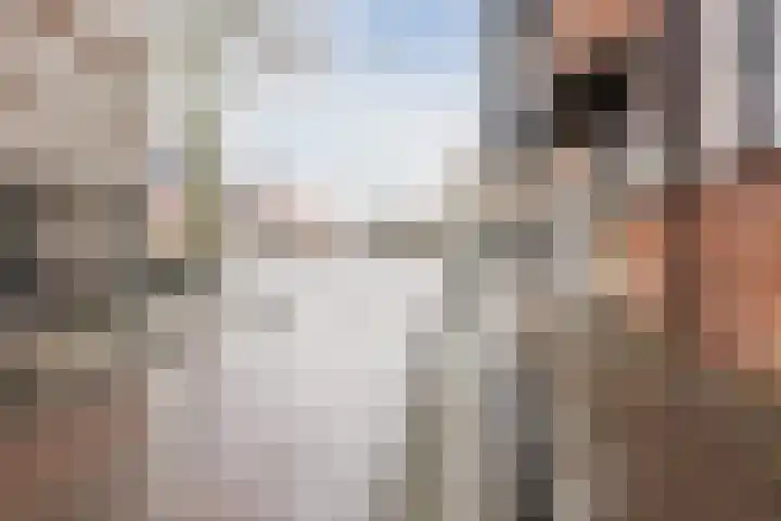Hoge Zand 102 Den Haag thumbnail 30