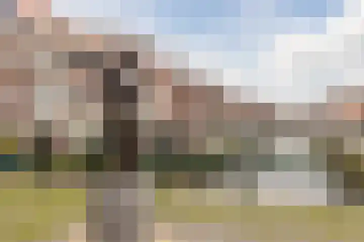 Hoge Zand 102 Den Haag thumbnail 31