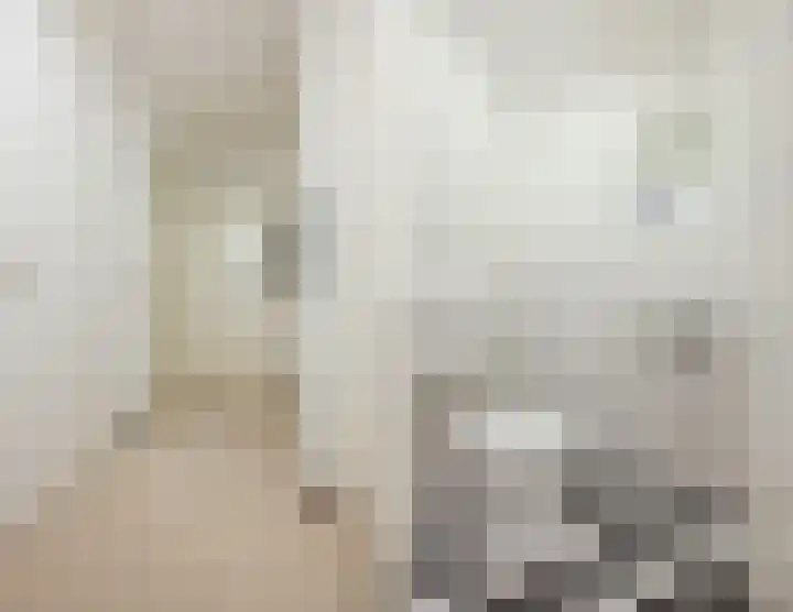 Hoge Zand 102 Den Haag thumbnail 8
