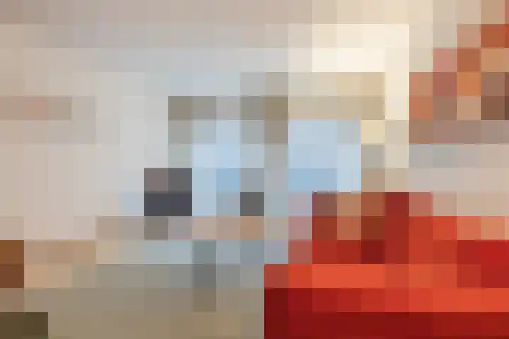 Hoge Zand 102 Den Haag thumbnail 9