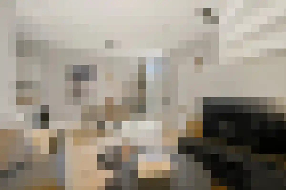 Hoge Zand 21 Den Haag thumbnail 5