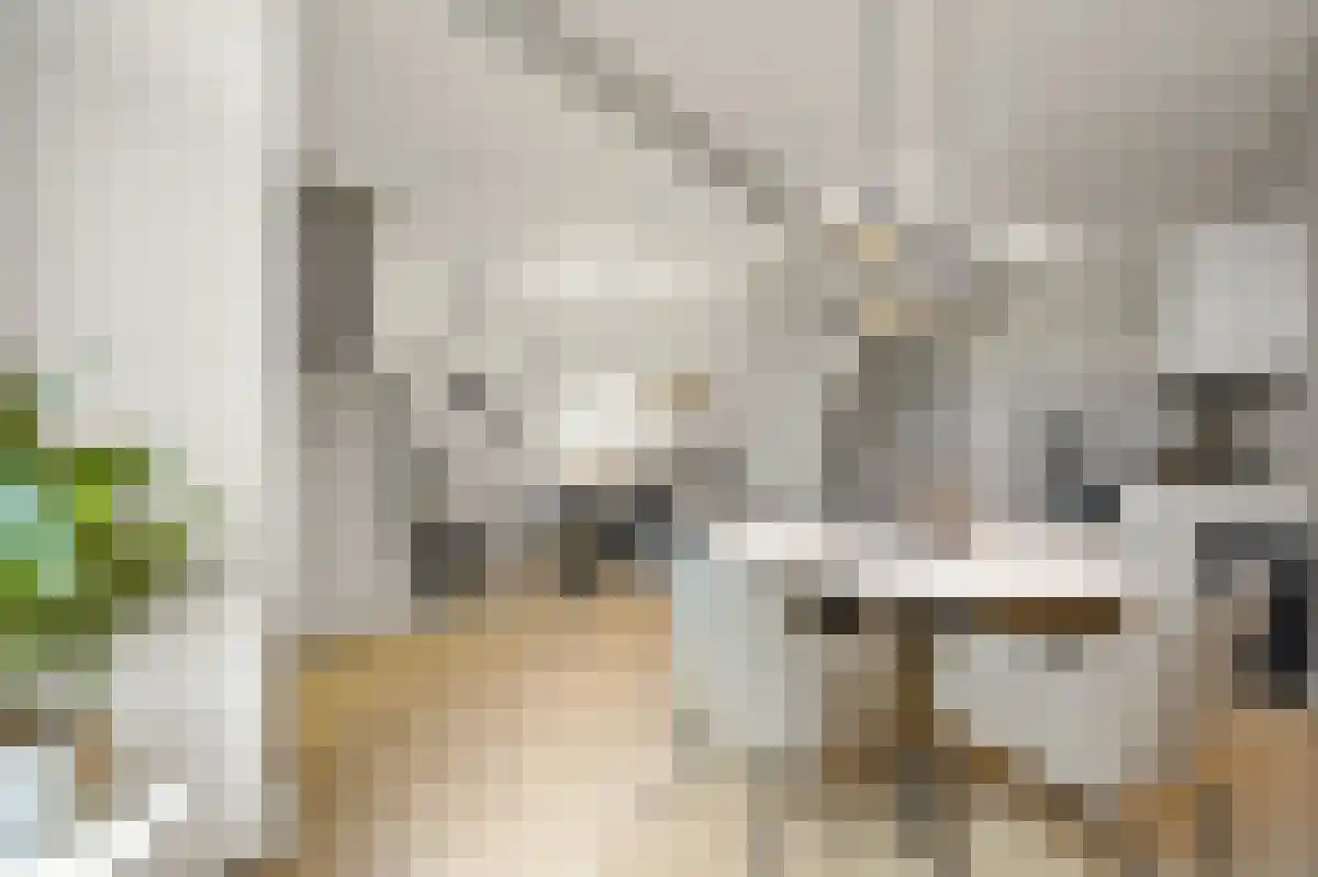 Hoge Zand 21 Den Haag thumbnail 6
