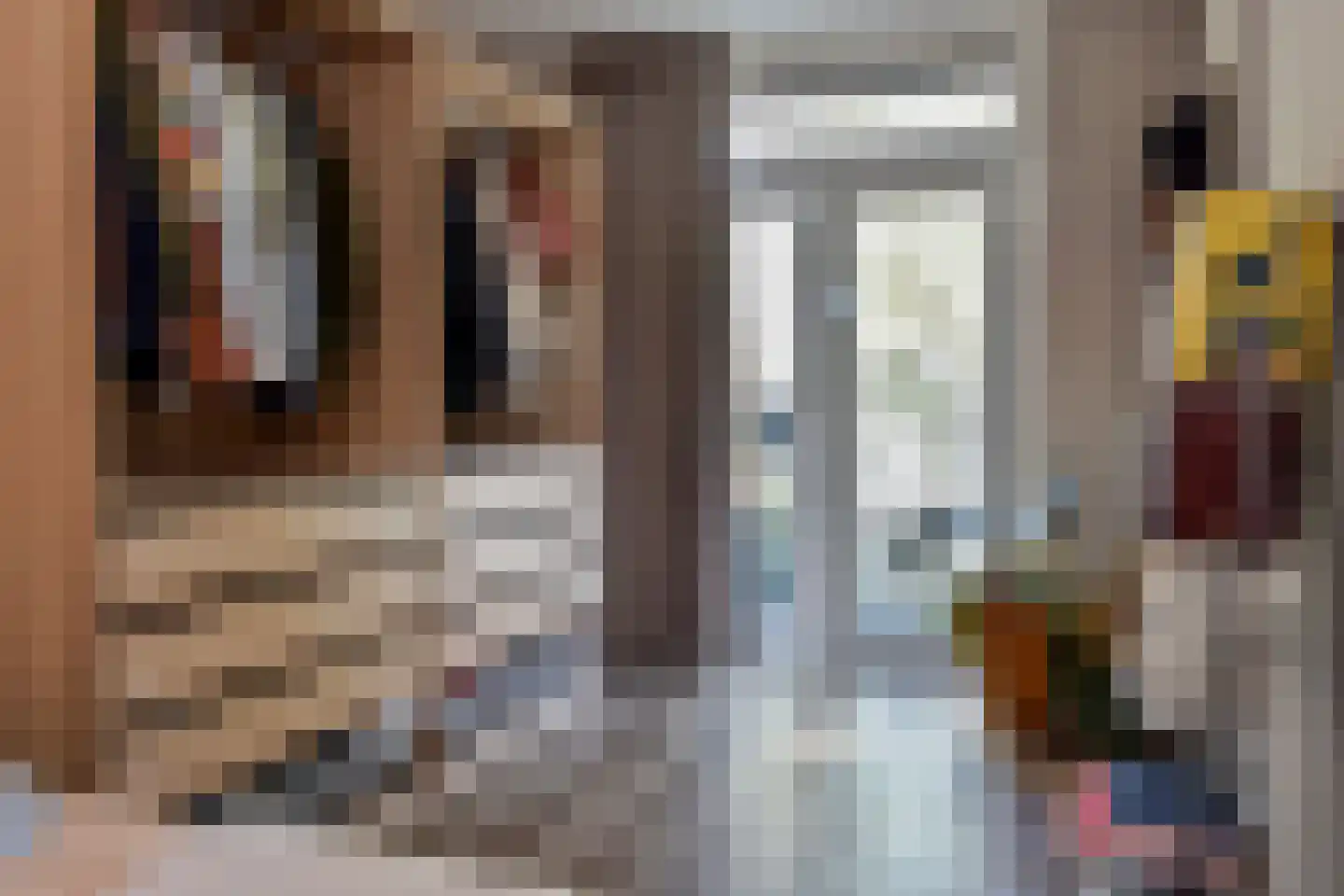 Hoge Zand 25 A Den Haag thumbnail 19