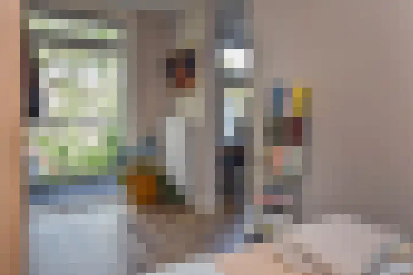 Hoge Zand 25 A Den Haag thumbnail 20